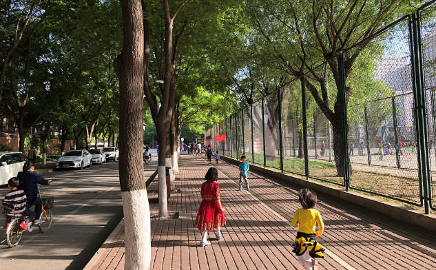 The Impact of Green and Blue Spaces on Mental Health in Older Adults green spaces and health 1 13